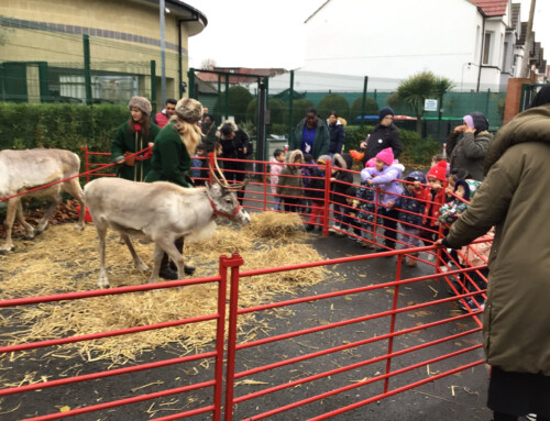 Greenfields Nursery School visited by Reindeer!